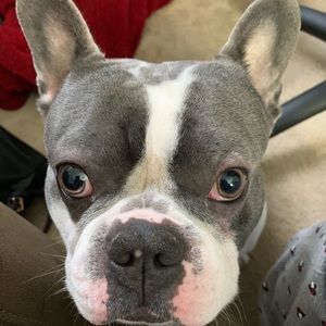 Meet your Posher, Christina